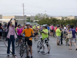 Red Poppy - BAR_5677_1